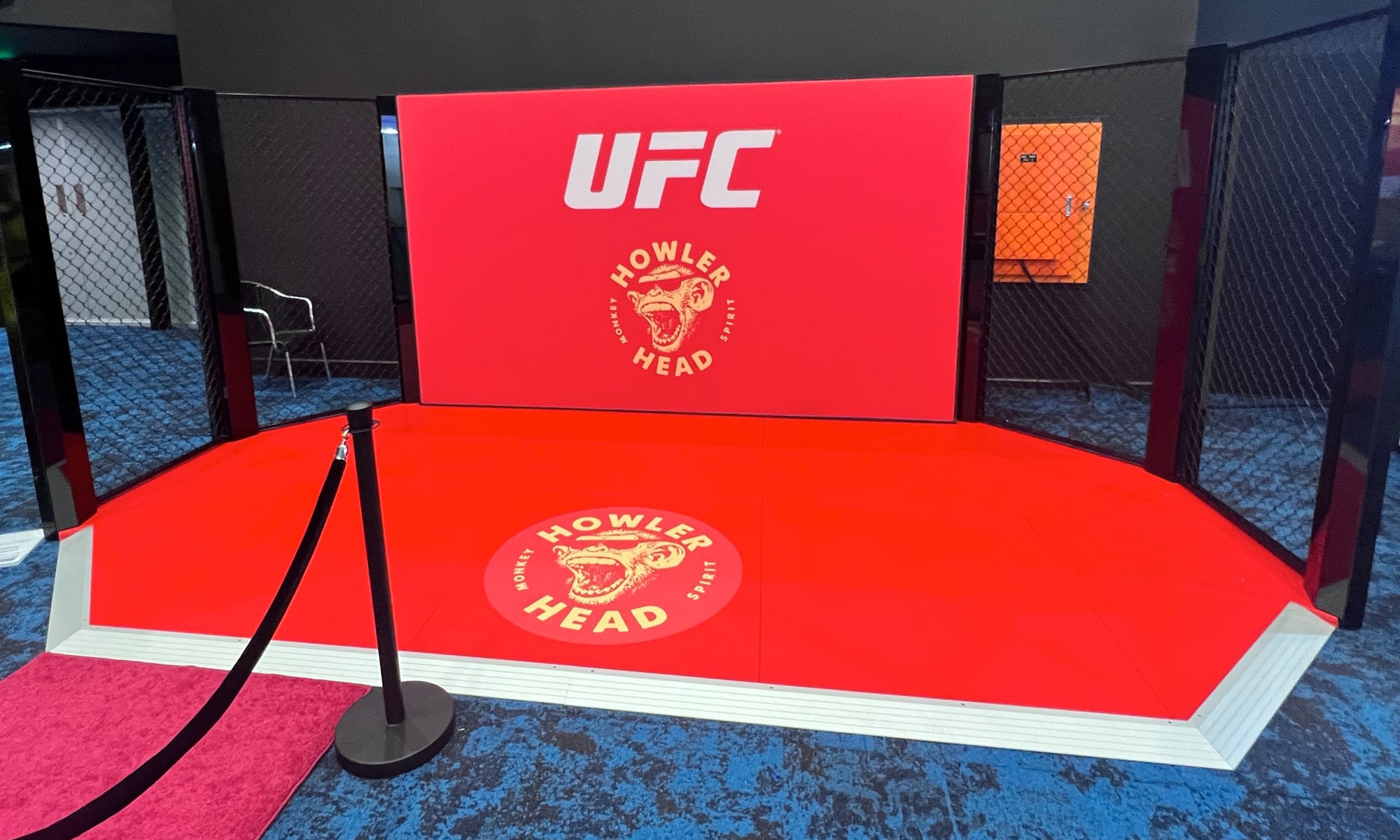 HOWLER HEAD OCTAGON AT IBA TRADE FESTIVAL 2 project image Howlerhead UFC cage 02